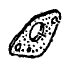 (image for) Gasket, Carb, 26cc